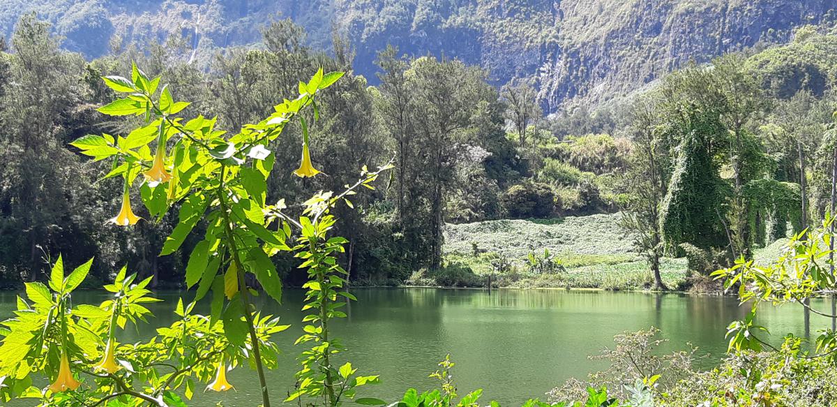 Salazie. Mare à Poule d'eau